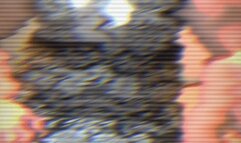 Lick my Boot, Bitch JOI