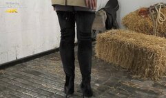 Riding Accessory Njoy