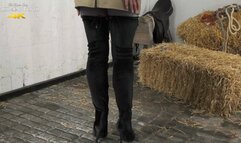 Riding Accessory Njoy - 1080