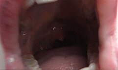 MY BIG MOUTH SWALLOWS YOUR COCK AND DROOLS ON IT!