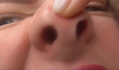 PIG NOSE IN THE CELL