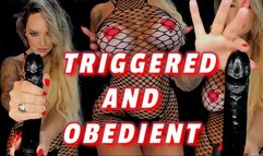 TRIGGERED OBEDIENT