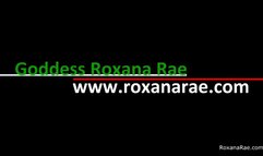 Sissy Christmas Stocking