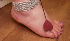 #2 Addiction to my feet forever (no talking)