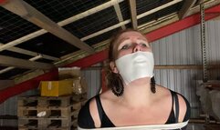 May - Bound And Gagged In The Attic For The Night WMV