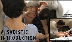 A Sadistic Introduction