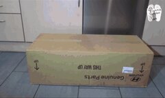 Big Cardboard Box under Boots 2