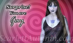 Surprise! You are gay - WMV HD 1080p