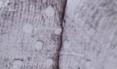 Stinky Dose Of Socks