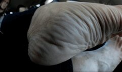 Horny In My Car, 4th