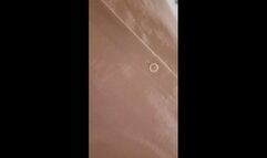 Slight diarrhea and stomach rumbling