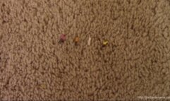 The Giantess Princess-WMV