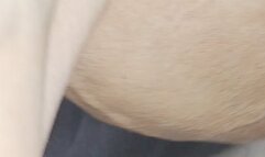 Tempest POV with veins