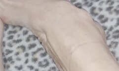 Tempest showing off on leopard blanket