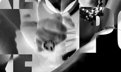 The Realtor Strikes a Deal