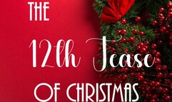 12th Tease of Christmas