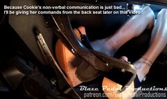 867-CookieWedgesVWPassatRevDriveFloorCam