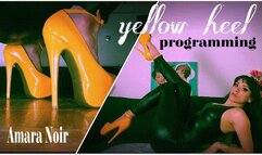 Yellow Heels Programming