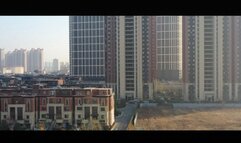 YT2237 A Cunning girl