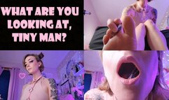 What Are You Lookin at, Tiny Man? Giantess Teases and Licks You