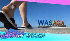 Unaware At Wasaga Beach - HD 1080p Version