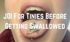 Giantess JOI For Tinies