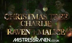 [897] Christmas Tree Charlie