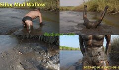Silky Mud Wallow