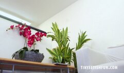 TFF1669 - Beautiful Blonde Giantess Louise Jones is crushing Tines Today - 4K UHD MP4