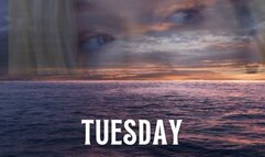 Mini Mind Fuck Tuesday