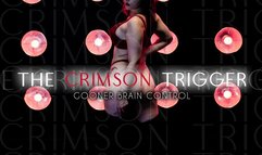 THE CRIMSON TRIGGER - Gooner Brain Control MP3