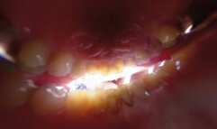 Meet Anastasia at the Rooftop 4K Version VR360