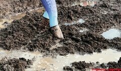 Angie is stuck in a SWAMP wmv