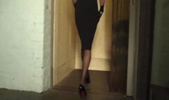 Christie gets fucked in the elevator