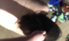 Fucking slutty girlfriend doggy