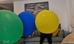 REELL - GYROS GIRLS - XXXL IST GERADE GROSS GENUG