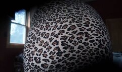 Candy Hole Pov3 wild