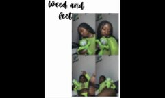 Slim Green with Fishnets