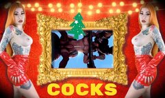 Cocks for Christmas - 3D, Make me Bi