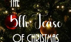 5th Tease of Christmas