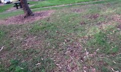 Picked up a Fan and blew his cock in my car