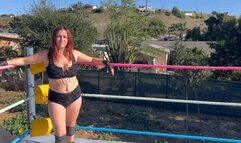 Barbie Tournament Final: No DQs