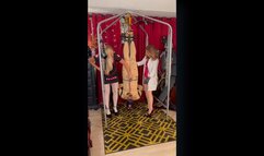 Ballbusting Institute Part 2 and Part 3