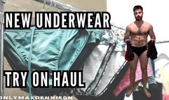 NEW UNDERWEAR TRY ON HAUL
