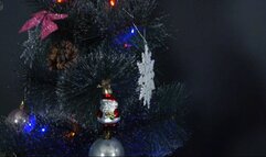 The Maid and the Christmas Wish