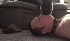 Time To Worship Feet