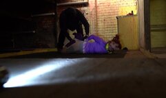 2245 Amber in Daphne Investigates