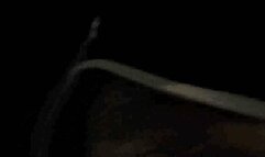 Giantess Lolas Gassy Assy Collection of REAL MILF FARTS OUTSIDE in public & at home sitting on her favorite leather chair this week only All New Gas Smell it ! Stinky Smelly Farts Ass fetish Shots Booty Shorts Pj shorts mov