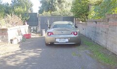 Felony traffic stop for two dangerous girls