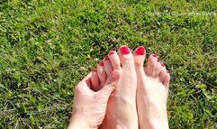 Bare feet oil massage in the garden